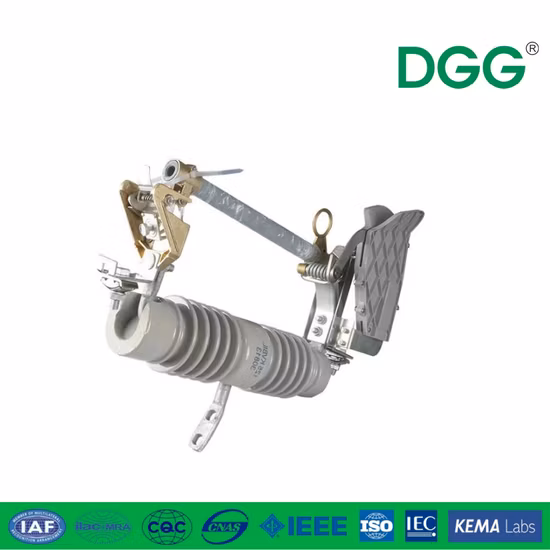 고전압 도자기 퓨즈 컷아웃 드롭아웃 퓨즈 11kv 100A